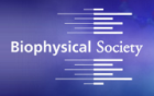 Biophysical Society Conference to Discuss Nanomedicine, Materials and Physics