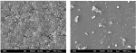 Antimicrobial Hydrogel Destroys Multidrug-Resistant Superbugs