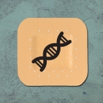 Novel Polymer Film Improves Effectiveness of DNA Vaccines