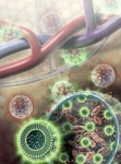 Innovative Nanosensors Detect Survival Status of Transplanted Cells