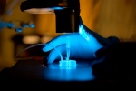 Red Blood Cells Trap Drug-Carrying Nanoparticles