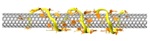 A Wealth of Information about Armchair Carbon Nanotubes