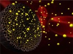 RNA-Carrying Nanoliposomes Effectively Target Ovarian Cancer Cells