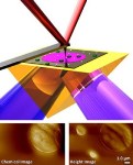 PTIR Technique Using AFM Extracts Chemical Information with Nanometer-Scale Spatial Resolution