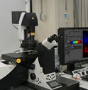 National University Hospital in Seoul Acquires Leica TCS SP8 STED Super-Resolution Microscope