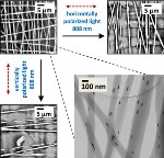 Polarized Light Selectively Melts Nanofibers Containing Gold Nanorods