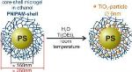 Revelation of Nanoparticle Crystalline Structure Advances Usage of Polymeric Nanoreactors