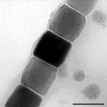 Researchers Look into the Nursery of Magnetite Nanoparticles