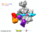Cryo-Electron Microscopy Provides New View of Cellular Machinery