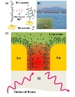 Gold Nanogap Structure Helps Detect Ionic Mercury with High Sensitivity