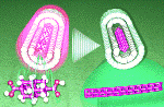 Novel Process for Production of Diamond Carbon Nanowires