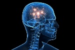 New Ideas from Nanotechnology, Neuroscience Needed for Proposed Brain Activity Map