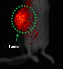 USC Chemist Designs Nanoparticle Polymer to Release Powerful Anticancer Drug