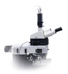 WITec Introduces Time-Correlated Single Photon Counting Measurement Option, StrobeLock