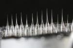 Scanning Electron Microscope Beam Helps Fabricate Nano-Capillary Tubes