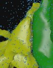 ICES Researchers Begin Automating Construction of Nano-Scopic Models of the Human Brain
