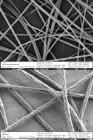 QAS Loaded Polymide Nanofibers Demonstrate Potential Against Biological Decontamination