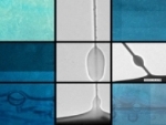 Nanowires Naturally Draw Liquid Upward in a Thin Film