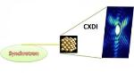 Innovative Imaging Technique for Nanomaterials Using Highly Coherent X-Rays