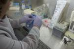 Chemist Bozhi Tian to Explore Neurodegenerative Disease Using Nanoelectronic Devices