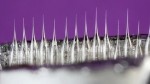 New Technique to Manufacture Nano-Capillary Tubes
