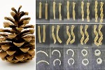 Scientists Create Composite Materials with Comparable Properties Using Nanotechnology