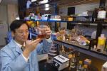 Innovative Nanotechnology-Inspired Bioprocess Can Convert Cellulose into Amylose Starch