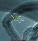 Spray-On Mixture of Carbon Nanotubes and Ceramic Resists Damage While Absorbing Laser Light