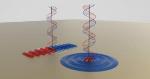 New Nanoscale Device Converts Optical Signal into Waves That Travel along a Metal Surface