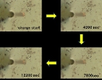 Nanomaterial Researchers Succeed in Measuring Volumetric Expansion of Single Particles of Silicon