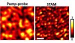 Super-Resolution Optical Microscopy Helps Image Graphite Nanoplatelets