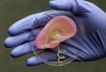 Scientists Fabricate Bionic Ear Using 3D Printing of Cells and Nanoparticles