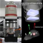 New Molecular Imaging Technology Enables Study of Interactions between Bio-Metals and Bio-Molecules