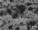 New, Injectable Nano-Network Releases Insulin When Blood-Sugar Levels Rise