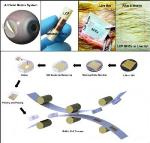 In Vivo Silicon-Based Flexible LSI Developed for Bio-Medical Wireless Communication