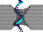 Solid-State Nanopores Used to Differentiate Single-Stranded DNA Molecules