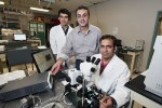 Novel Technique to Control Sensitivity of Graphene Chemical Sensors