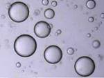Bristol Researchers Build Artificial Inorganic Protocells from Silica Nanoparticles