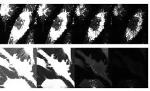 Triangulenium Dyes Enable Production of Images without Background Noise until 100 ns