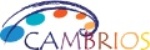 Cambrios to Highlight Silver Nanowire-Based Conductive Coating Material at Display Week 2013