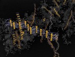 New Mechanism of Self-Assembly from DNA-Tethered Nanorods