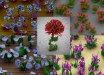 Manipulation of Chemical Gradient Leads to Delicate Flower Nanostructures