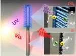 Researchers Develop Fully Integrated Nanosystem for Artificial Photosynthesis