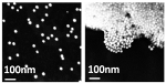 Gold Nanoparticles Combined with DNA Snippets may Help Diagnose Kaposi’s Sarcoma