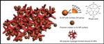 Unique Nanoscale Architecture of Silicon-Composite Electrode Enables Electrochemical Stability of Battery