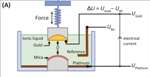 New Study Advances Understanding of Charged Molecule Behavior in Ionic Liquids