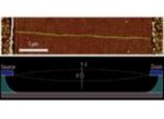Weak Force Measurement with Unprecedented Sensitivity Using Carbon Nanotube-Based Mechanical Resonators