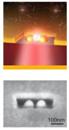 Antenna-in-Box Platform for Nanoscale Biochemical Assays with Single Molecule Sensitivity