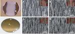 Novel Approach to Grow III-V semiconductor Nanowires without Metal Catalysts or Nano-Patterning