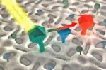 Color Molecules on Bacterial Protein Nanostructured Surface Detects Pharmaceutical Residues